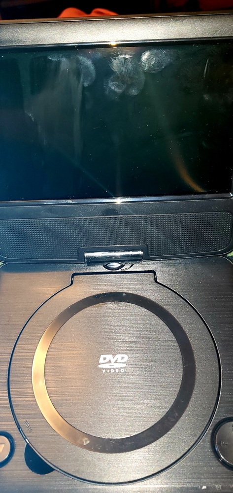 Portable DVD player